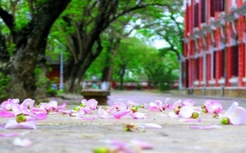 Chấp là si mê